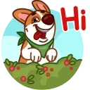 [sticker](media:AAMCAQADHQI9ls-AAAEW0_FgUWdfcRQu534oWmrE6dWs8dkCygACywEAAjgOghEpT7QOsHsnCZwAATZKFwADAQAHbQADnkIAAh4E@telegram)