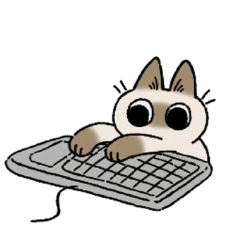 [sticker](media:AAMCAQADHQI9ls-AAAEZK_5iIxhlMIFgojQFnnOh0E-F9VzRvwACRAIAAlGXOER2LcORTkW25wEAB20AAyME@telegram)