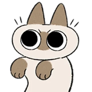 [sticker](media:AAMCAQADHQI9ls-AAAEZOAtiLPaUWqIk4Zk8npLEuwOgLwS_uwACNAEAAp41mEVxqehMPzZmkAEAB20AAyME@telegram)
