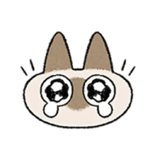[sticker](media:AAMCAQADHQI9ls-AAAEZQwRiO1etL2-_Mlhq8eDFBS0AAU4fkyIAApwBAAKHb6BFNyKWhQG-bm4BAAdtAAMjBA@telegram)