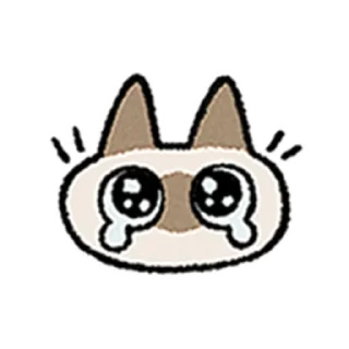[sticker](media:AAMCAQADHQI9ls-AAAEZVuNiUvE1JtV9oUn9VEl326_e64eQVwACmwEAApOcmEVpAX5ND32XgwEAB20AAyME@telegram)