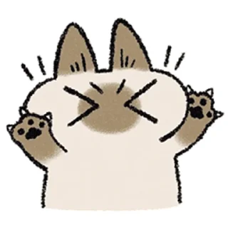 [sticker](media:AAMCAQADHQI9ls-AAAEZjHpimWMaAzN62-0YdplqdfprGUjrhgACOgIAAoekEEQWjmhVuzTD5gEAB20AAyQE@telegram)