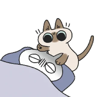 [sticker](media:AAMCAQADHQI9ls-AAAEaBfpjib8y-c27HbpnqJv-WEKWTK81sgACAQQAArDR2UVkQWXtGHfKMAEAB20AAysE@telegram)