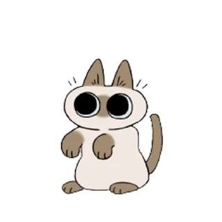 [sticker](media:AAMCAQADHQI9ls-AAAEaGE1j11R_T3yQXTxeQUQB6jY4_7ZXfgACeAIAArV84UdnYVterMstYAEAB20AAy0E@telegram)
