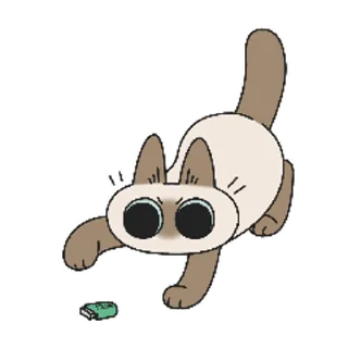 [sticker](media:AAMCAQADHQI9ls-AAAEaNw1kXnmY7q8_Ang89pXJDLKfyRTHJQACWgMAAkxkmEcWCKWPDq4O5gEAB20AAy8E@telegram)