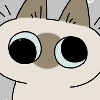 [sticker](media:AAMCAQADHQI9ls-AAAEaQUdkoFfp9vGnijLATJZM8afvENdQRQACegIAAuYPMER3vds-rwc3kAEAB20AAy8E@telegram)