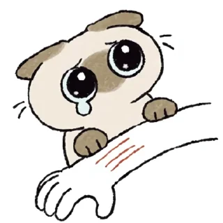 [sticker](media:AAMCAQADHQJCTFSvAAJA5GLg-eh0ZgIK_uv63eoaZ1LYrsD6AALxAAMnZGBHSiPQ93Ybg5sBAAdtAAMpBA@telegram)