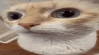 [sticker](media:AAMCAQADHQJDr2X7AAEBZDVmV_g-pttTdC9ASLraMyKPUZVligACOgQAAhabCESwXZ8qUFdVRQEAB20AAzUE@telegram)