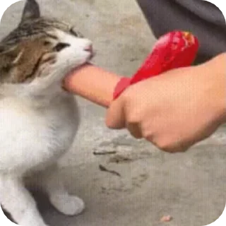 [sticker](media:AAMCAQADHQJDr2X7AAEByNhqMXH2CaenODdBzsDoo9rwPm93vQACaQQAAt1KiEYnPBKYPDT74QEAB20AAzwE@telegram)
