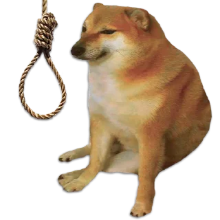 [sticker](media:AAMCAQADHQJQ4sFGAAIBlGDeky-G-EtadRn7hlWKOi7ZFRghAAJxAQACu74hRDi9uwsKa6JjAQAHbQADIAQ@telegram)