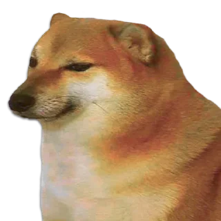 [sticker](media:AAMCAQADHQJQ4sFGAAIEKGENP0wEuRhpU_3E1WWhYhs49ilRAAJuAAM8o7Q_ImEiMky_zn8BAAdtAAMgBA@telegram)