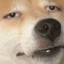 [sticker](media:AAMCAgADHQI9GfldAAEB1iVmgMatphpU9fMyRtVr12sUPPeWUwACLQcAAlwCZQMbhEfcuESw4QEAB20AAzUE@telegram)