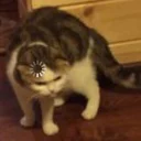 [sticker](media:AAMCAgADHQI9GfldAAEB1s5mjLcPVt3AKW53f6GeDQhczxhm4wACmggAAlwCZQPJwLXM0kXbjAEAB20AAzUE@telegram)