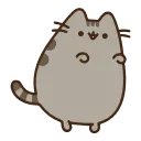 [sticker](media:AAMCAgADHQI_K-iKAAEC0ppeNohDLCIwmAhItYhEyO9hS-lLJgACjnYBAAFji0YMtEWVHkn9JD4GmbkPAAQBAAdtAAM6hQACGAQ@telegram)
