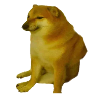 [sticker](media:AAMCAgADHQI_K-iKAAEEWXpicjMO7IE8FLsPDseair7cAAESZiAAAgEAAwXOwi35k-C6ySqmmwEAB20AAyQE@telegram)
