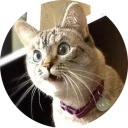 [sticker](media:AAMCAgADHQJAQwEmAAEL16VfDTE6njeNLeFfrFAaY5hvx61_0wACjwkAAvFCvwU31r2BDDumHa8HEA4ABAEAB20AA3GTAAIaBA@telegram)