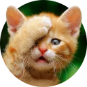 [sticker](media:AAMCAgADHQJAQwEmAAEL2XRfDeVK0cGUmYNWwXqjZebEp6CwzwACxgkAAvFCvwU7pMdAZQRmzyrw8g4ABAEAB20AA1gIAAIaBA@telegram)