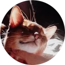 [sticker](media:AAMCAgADHQJAQwEmAAEL3whfEZr0DrjSWCzCl0vGcOFw4gsbuQACvQEAAvFCvwUNGxOW3jTgbhY6hCoABAEAB20AA9Q2AAIaBA@telegram)