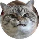 [sticker](media:AAMCAgADHQJAQwEmAAEL3wxfEZshOKeN8_EkuMlp6a-DC0AFdgACvwkAAvFCvwXG8S9ISr5BJH3xtQ4ABAEAB20AA-p3AAIaBA@telegram)