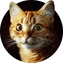 [sticker](media:AAMCAgADHQJAQwEmAAEL3yxfEmCCxgofbtbF0ht2AAFxqS-YAx8AApcCAALxQr8FtKhqNuXu76J9sIQqAAQBAAdtAAN4CgACGgQ@telegram)