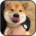 [sticker](media:AAMCAgADHQJAQwEmAAEL4c1fFS5AGcy8MMrGlmhXsNwPnw-F1gACbQwAAujW4hInOLHs5fyvbt5ArQ4ABAEAB20AA9J9AAIaBA@telegram)