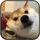 [sticker](media:AAMCAgADHQJAQwEmAAEL5hlfHEqK-UTcrGd2ktF5Wvr1KbHbagACWgwAAujW4hIFJvBbs84fLr_xtQ4ABAEAB20AA9SDAAIaBA@telegram)