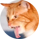 [sticker](media:AAMCAgADHQJAQwEmAAEL62pfH6jnNa8NRYdYs3UOFQs6RnGgugACvwcAAvFCvwXFnlpOqIlG1PVwcQ0ABAEAB20AAzBCAAIaBA@telegram)