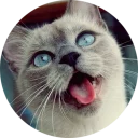 [sticker](media:AAMCAgADHQJAQwEmAAEL7NFfIAFCxDr1cuRUjDMGl02sT4hK0AACsgEAAvFCvwUvp0qRowHyHL9whCoABAEAB20AA0kdAAIaBA@telegram)