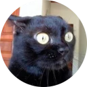 [sticker](media:AAMCAgADHQJAQwEmAAEL9xxfJ8Lp9ZzVMq2VKqiUtN1naGoCOwACrgEAAvFCvwUcSJrKUf71jNs0hCoABAEAB20AA-UzAAIaBA@telegram)