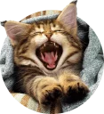 [sticker](media:AAMCAgADHQJAQwEmAAELG-BeNYvhXHg3YihQoQr4k1a6N97a5gACggkAAvFCvwUFPD0UD_HFeNoaEA4ABAEAB20AA905AAIYBA@telegram)