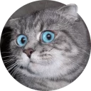 [sticker](media:AAMCAgADHQJAQwEmAAELJR5eQrbCAAGZkprPzIHgiq-BTCfcEIQAAsMCAALxQr8FMm6DbMPjWJtwpIQqAAQBAAdtAAOTPgACGAQ@telegram)