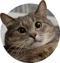 [sticker](media:AAMCAgADHQJAQwEmAAELL1teUfRrPNPj9snb1aLxlKNJaMgU-wACwgkAAvFCvwVmsWIDhMs2Y_IOtg4ABAEAB20AAwaIAAIYBA@telegram)