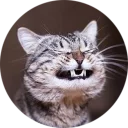 [sticker](media:AAMCAgADHQJAQwEmAAELLSheT-t-2LiBrbK60Zr7PKSHW8cptAACBgIAAvFCvwVLblWG_dVEFzMghCoABAEAB20AA5FDAAIYBA@telegram)