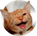 [sticker](media:AAMCAgADHQJAQwEmAAELN-heWRKhTwKsWMWO4B7dkdP1acJ-BwACBAIAAvFCvwVjIYzmzifhkPk6hCoABAEAB20AA4JDAAIYBA@telegram)
