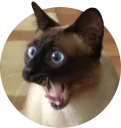 [sticker](media:AAMCAgADHQJAQwEmAAELNhBeVpZMJKMq6DAznzQU3KDrtPugSAACjgkAAvFCvwWpGs45COu2k0wWEA4ABAEAB20AA0V8AAIYBA@telegram)