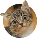 [sticker](media:AAMCAgADHQJAQwEmAAELNr5eV8PrCOQfVZD5Sof5_1-MpNMy6gACwAkAAvFCvwVA-w6McBIEErMvtg4ABAEAB20AAzcJAAIYBA@telegram)