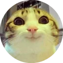 [sticker](media:AAMCAgADHQJAQwEmAAELPEheXld5Fckz_3uIyE59aJE1XdyBOgACpgEAAvFCvwXz6jjw6LyC8fwehCoABAEAB20AA_cxAAIYBA@telegram)