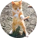 [sticker](media:AAMCAgADHQJAQwEmAAELRMheaziOuOjbxihSat45vffzk3CY-QACzAkAAvFCvwVv2g56P33rGVxq8w4ABAEAB20AA1RAAAIYBA@telegram)