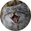 [sticker](media:AAMCAgADHQJAQwEmAAELSbZeccwgxGoXLJuIt7nin2HZdAawoAACAQIAAvFCvwWHfQfPDiSeVYkzhCoABAEAB20AA9pDAAIYBA@telegram)