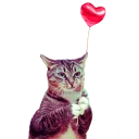 [sticker](media:AAMCAgADHQJAQwEmAAELVApef-Hs9ctrOERJaITOu2O3yJf9gAACtgEAAvFCvwUY8BjxhQjm4ZB9hCoABAEAB20AA1sfAAIYBA@telegram)