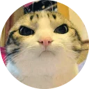 [sticker](media:AAMCAgADHQJAQwEmAAELVrZehh8m4p_Te1I6FitQX6AO11vNvAACnwUAAvFCvwXK6qyu3sKUrNuyRw0ABAEAB20AA8kPAAIYBA@telegram)