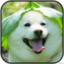 [sticker](media:AAMCAgADHQJAQwEmAAELXTpekH9bL0tcjnt-lnpbVbbDlOQ8_gACTQwAAujW4hIsU3ietCq-ZGdUrQ4ABAEAB20AA0R2AAIYBA@telegram)