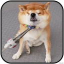 [sticker](media:AAMCAgADHQJAQwEmAAELY1delszi5YRO0gU760azrNa4_RsTcgACSgwAAujW4hJoFU7CZa42KRLttQ4ABAEAB20AAyyGAAIYBA@telegram)