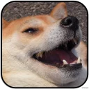 [sticker](media:AAMCAgADHQJAQwEmAAELYNJelSWFC1sZe_cfL_P3dNdbU4jdPAACYAwAAujW4hJ3dW_rPQiv0kc1rQ4ABAEAB20AAwaOAAIYBA@telegram)