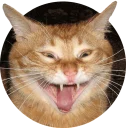 [sticker](media:AAMCAgADHQJAQwEmAAELYQ1elTHBMLxWpctBo1WwA5I5HsweSQACCwIAAvFCvwXaYtUQhDzNx8QphCoABAEAB20AA59HAAIYBA@telegram)