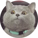 [sticker](media:AAMCAgADHQJAQwEmAAELcCper8ILj_1sUvV7-vutBMkCXFplpQACegkAAvFCvwXzqGCO6PM-z82Z4w0ABAEAB20AA6pYAAIZBA@telegram)