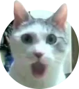 [sticker](media:AAMCAgADHQJAQwEmAAELd1xexe4nF1mmWlZyVGiWi1m4_W4D0gACqQIAAvFCvwXp2Dlkp6s4W9-lhCoABAEAB20AA6IQAAIZBA@telegram)