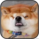[sticker](media:AAMCAgADHQJAQwEmAAELd91expjvir5O20ts50zjOyppYcRSrQACSwwAAujW4hJIAtix8Qs-SQFMrQ4ABAEAB20AA2eIAAIZBA@telegram)
