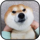 [sticker](media:AAMCAgADHQJAQwEmAAELmS9e4Pi80Q8VpZ7C6chv_6CrvAwgaAACVQwAAujW4hKzj94L1NJmqUjorA4ABAEAB20AAwi0AAIaBA@telegram)