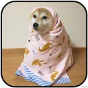 [sticker](media:AAMCAgADHQJAQwEmAAELmfNe4gRIwV_28E2TAAFDdKEcEVOJkJsAAl4MAALo1uISw-k3cCfc9_FC7bUOAAQBAAdtAANQhgACGgQ@telegram)